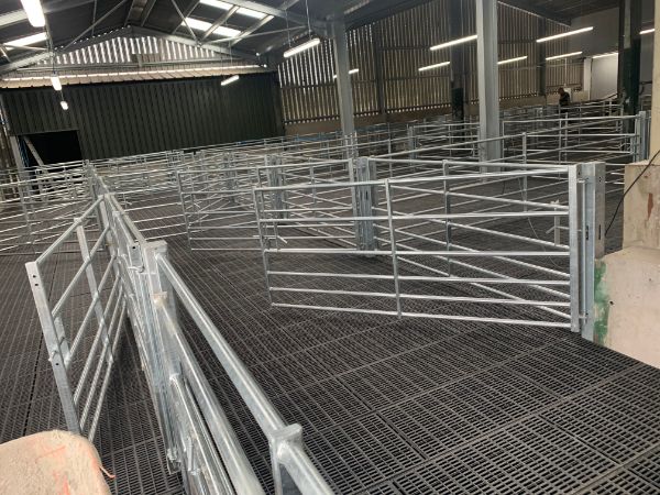 sheep holding pen 1