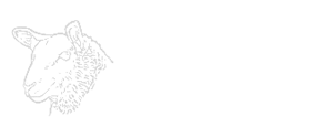 Euro Quality Lambs